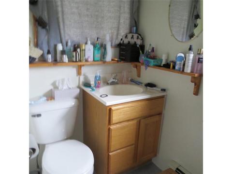 731 E Camp St, Ely, MN 55731 photo 14