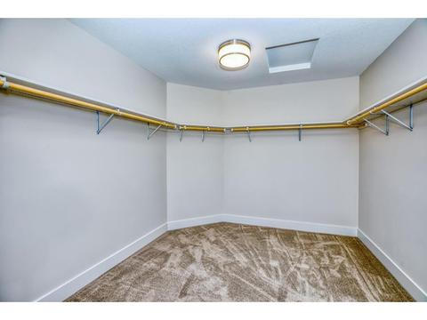 1620 Anthem Pl, Chanhassen, MN 55331 photo 33