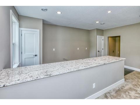 1620 Anthem Pl, Chanhassen, MN 55331 photo 49