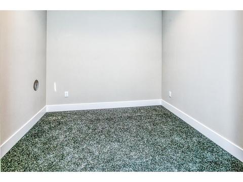 1620 Anthem Pl, Chanhassen, MN 55331 photo 50
