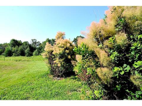 11667 140th Ave, Foreston, MN 56330 photo 11