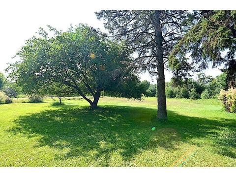 11667 140th Ave, Foreston, MN 56330 photo 10