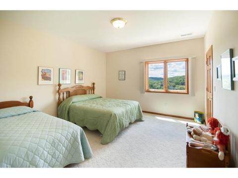 113 Red Apple Dr, La Crescent, MN 55947 photo 10
