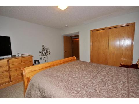 1537 Stonewood Ln, Eagan, MN 55122 photo 46