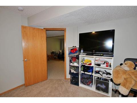 1537 Stonewood Ln, Eagan, MN 55122 photo 48