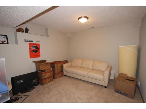 1537 Stonewood Ln, Eagan, MN 55122 photo 47
