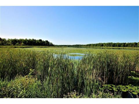 48221 County 7, Staples, MN 56479 photo 10