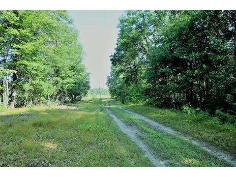 48221 County 7, Staples, MN 56479 photo 3