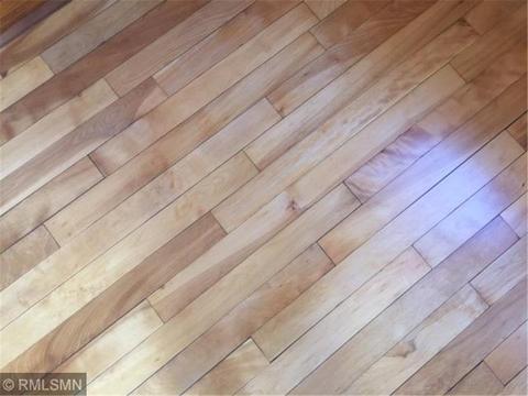 703 Central Ave, Buffalo, MN 55313 photo 11