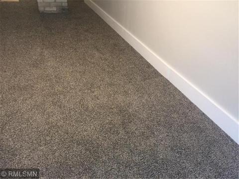 703 Central Ave, Buffalo, MN 55313 photo 21