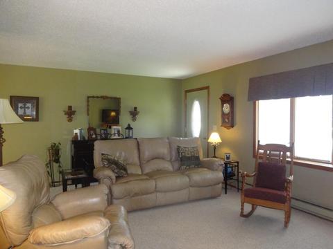 403 Chavis Dr, Hendricks, MN 56136 photo 18