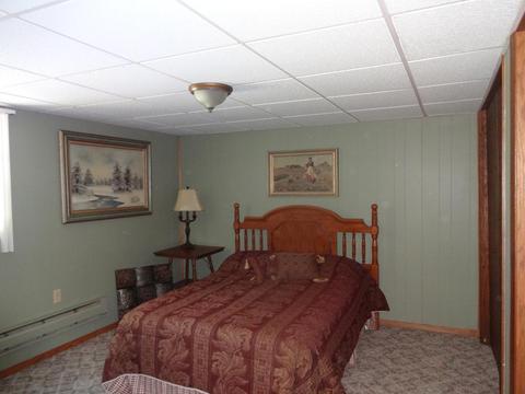 403 Chavis Dr, Hendricks, MN 56136 photo 28