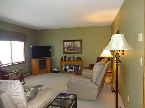 403 Chavis Dr, Hendricks, MN 56136 photo 17