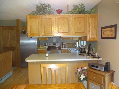 403 Chavis Dr, Hendricks, MN 56136 photo 13