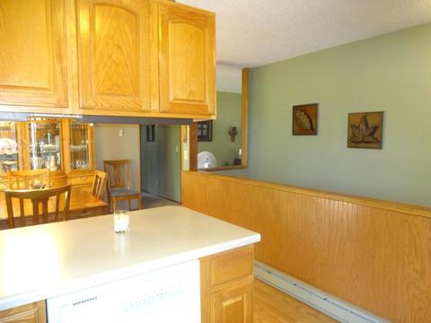 403 Chavis Dr, Hendricks, MN 56136 photo 15