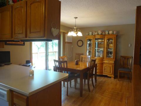 403 Chavis Dr, Hendricks, MN 56136 photo 14