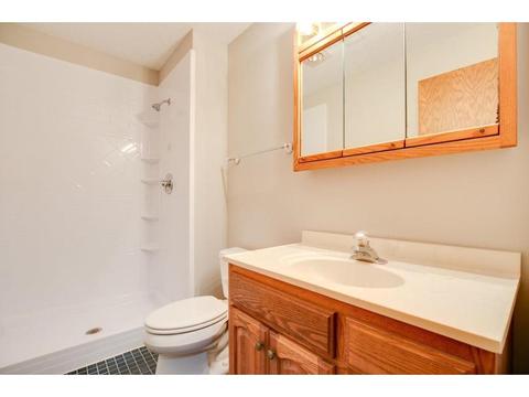 986 Ticonderoga Trl, Eagan, MN 55123 photo 30