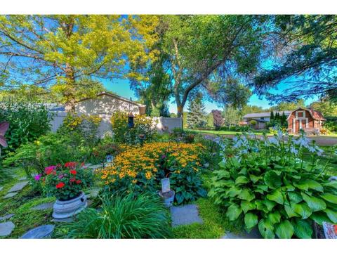 5330 Joyce St, Maple Plain, MN 55359 photo 22