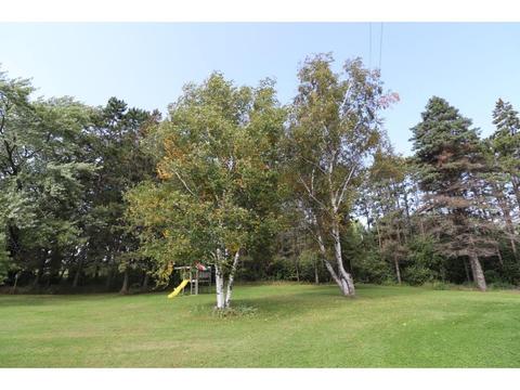 428 State 28, Grey Eagle, MN 56336 photo 35