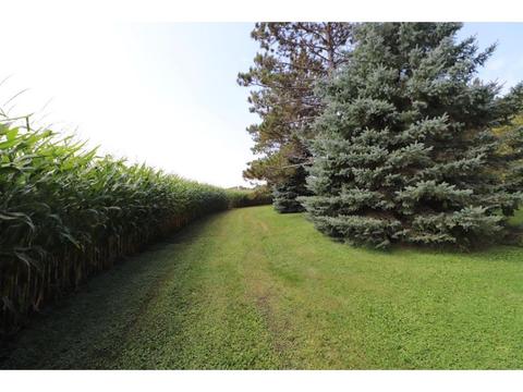428 State 28, Grey Eagle, MN 56336 photo 32