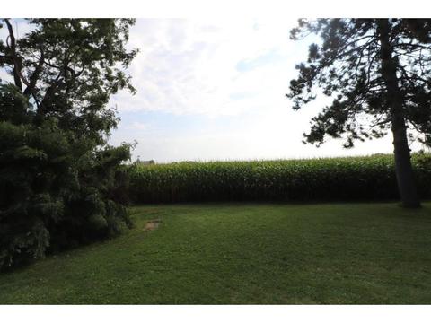 428 State 28, Grey Eagle, MN 56336 photo 29