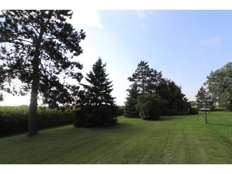 428 State 28, Grey Eagle, MN 56336 photo 30