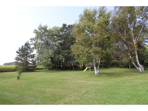 428 State 28, Grey Eagle, MN 56336 photo 34