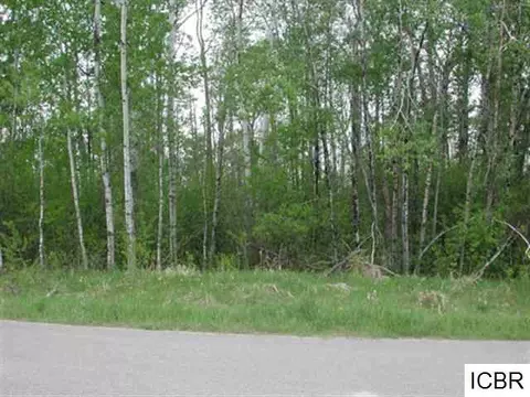 Lt 1 Blk 3 Aspen Dr, Deer River, MN 56636