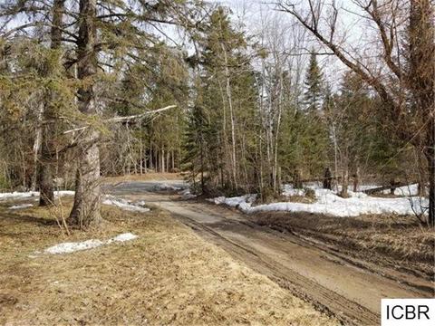 42845 State Hwy 286, Bigfork, MN 56628 photo 14