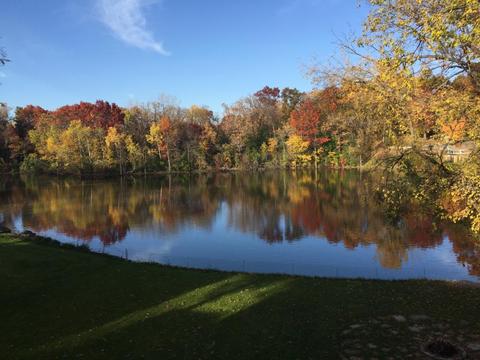 1755 Walnut Ln, Eagan, MN 55122 photo 27