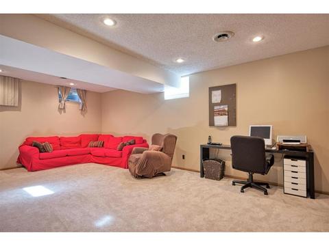 3684 Canary Way, Eagan, MN 55123 photo 22