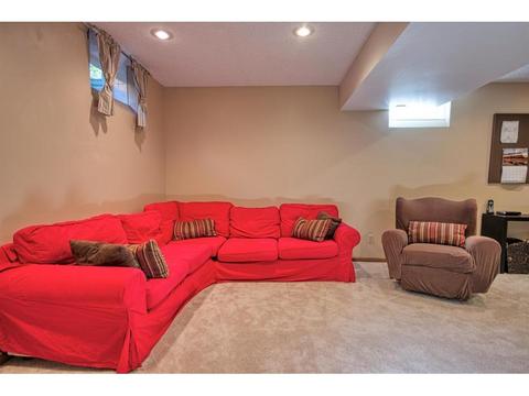 3684 Canary Way, Eagan, MN 55123 photo 24