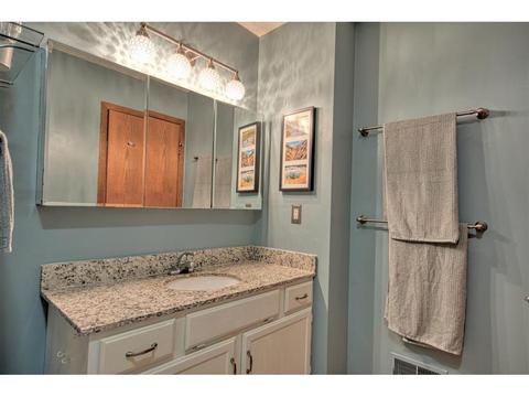 3684 Canary Way, Eagan, MN 55123 photo 13