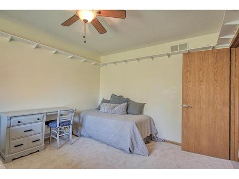 3684 Canary Way, Eagan, MN 55123 photo 15