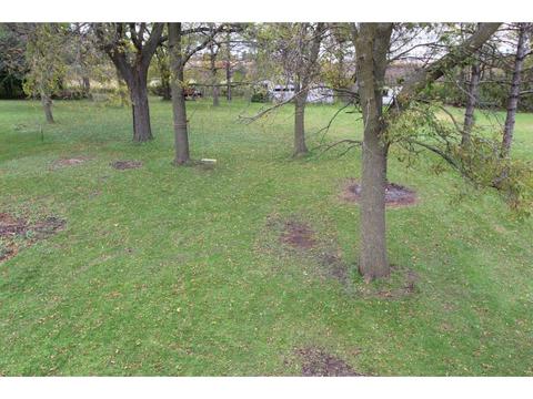 135 4th St SE, Plainview, MN 55964 photo 35