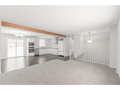 11289 Jersey Ave N, Champlin, MN 55316 photo 8