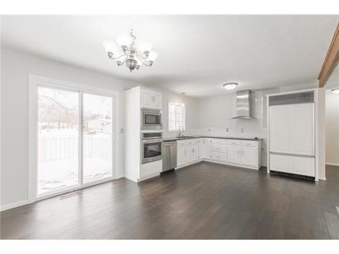 11289 Jersey Ave N, Champlin, MN 55316 photo 11