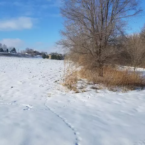 lot3 Blk 1 Possum Way, Lake City, MN 55041