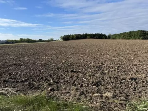 tbd Pine Bluff Rd NW, Pine Island, MN 55963
