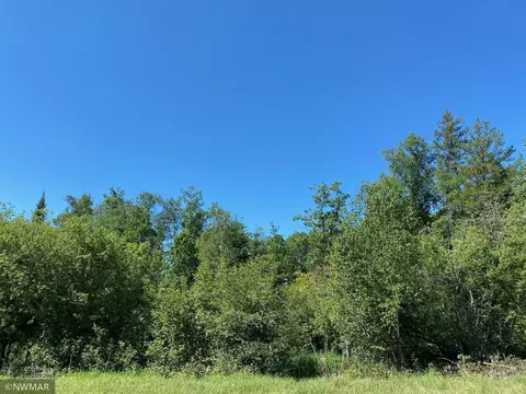 tbd Goldfinch Ln SW, Bemidji, MN 56601