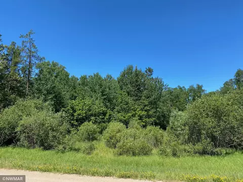 tbd Grant Hills Rd SW, Bemidji, MN 56601