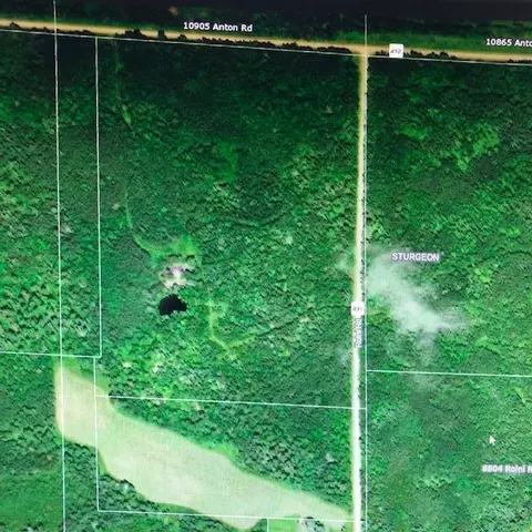 000 Roini Rd, Angora, MN 55703