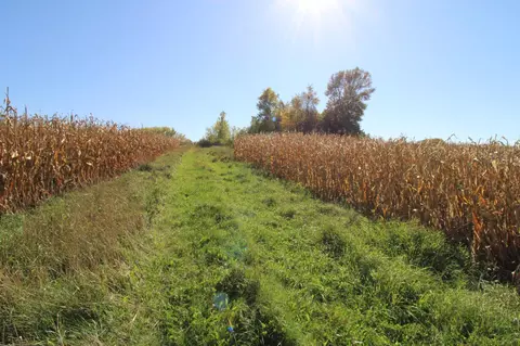 Nnnn Eagle Lake Road E, Willmar, MN 56201