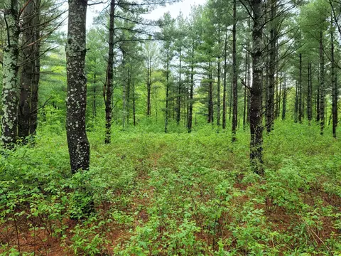 00 11 14 Ave, Prairie Lake Twp, WI 54822