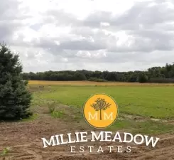 4737 Millie Meadow Dr SW, Rochester, MN 55902