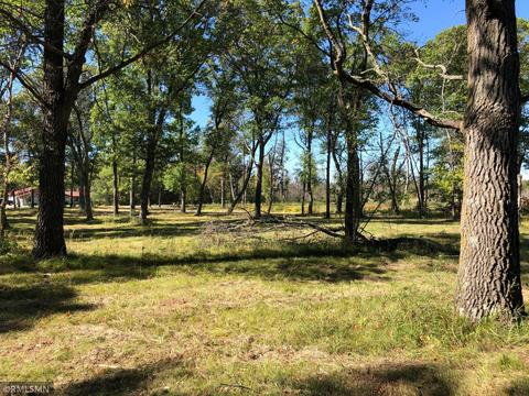 6595 Pine Beach Rd, Baxter, MN 56401 photo 3