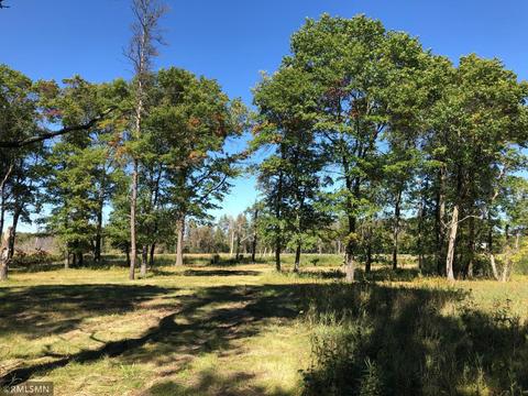 6595 Pine Beach Rd, Baxter, MN 56401