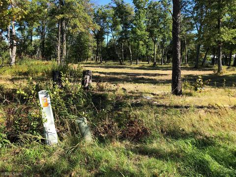 6595 Pine Beach Rd, Baxter, MN 56401 photo 24