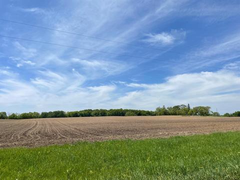 Nnnnn Echo Drive, Long Prairie, MN 56347