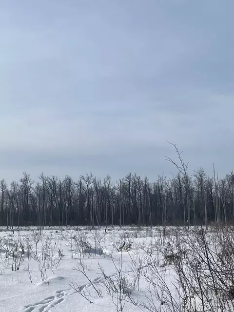 tbd Highway 73, Floodwood, MN 55736